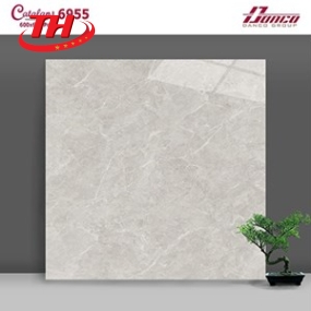 GẠCH LÁT NỀN 60*60 CATALAN ĐÁ 6955
