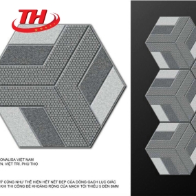 Gạch trang trí Sân Vườn 6x25x50 - 9317