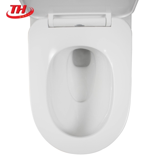 Bàn Cầu 1 Khối DK-C6550-W