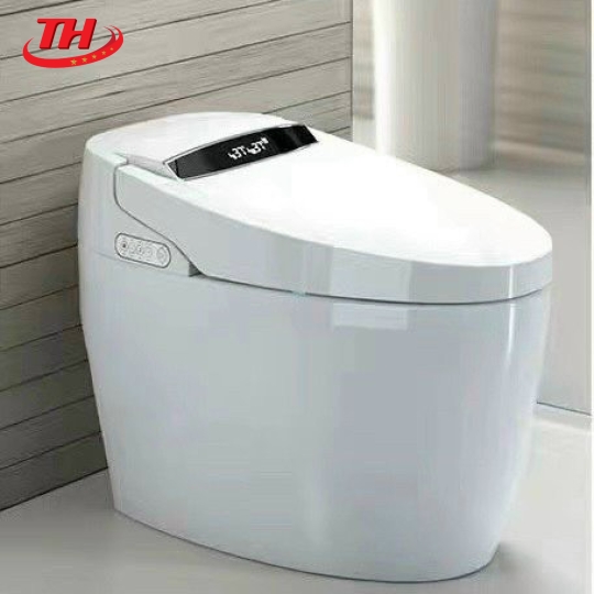 BỒN CẦU NHẬP KHẨU - 0003