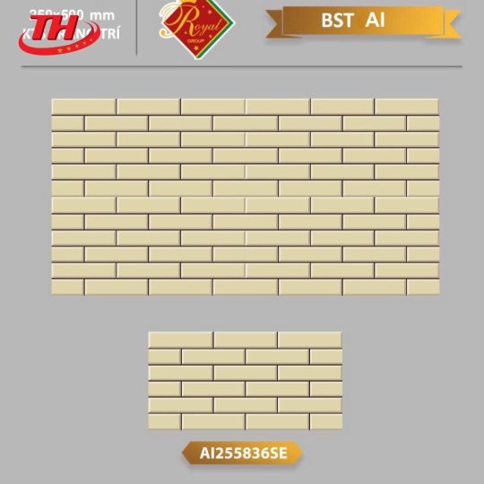 Gạch Trang trí 25*50 BST AI255836SE
