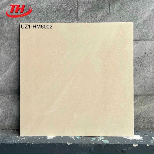 Gạch Viglacera 60*60 Mờ UZ1 - HM 6002