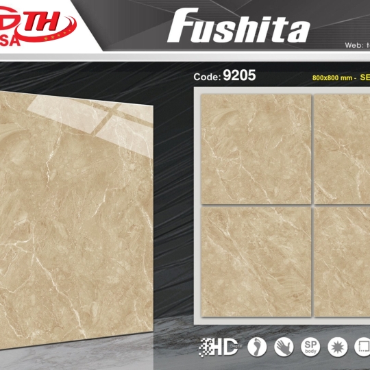 Gạch lát nền 80*80 TASA 9205