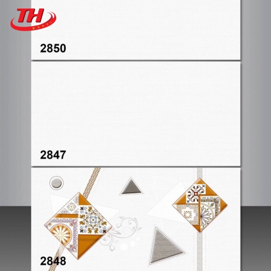 Gạch ốp tường Tasa 30x60 2849